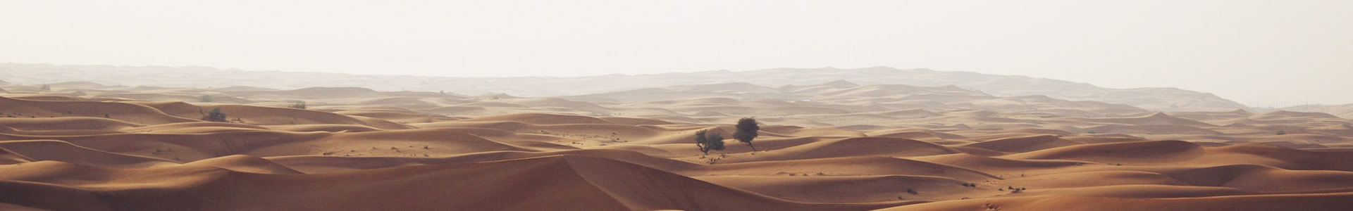 Զó޹˾